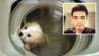 China: Joven mató a su perro en una lavadora y subió las imágenes a Facebook 