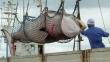 Unión Europea y Estados Unidos piden a Islandia detener caza de ballenas