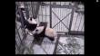 YouTube: Oso panda agarra la pierna de su cuidador para que no lo abandone