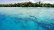 Conoce el mayor santuario marino del planeta, en el Océano Pacífico [Fotos]
