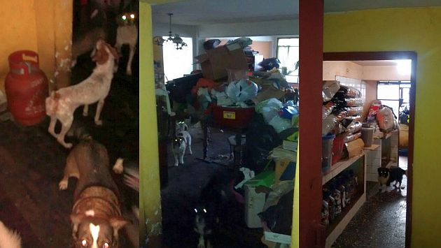 Perros vivían hacinados en departamento de la residencial San Felipe. (Difusión)