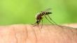 Fiebre Chikungunya: ¿Sabes cómo prevenir el contagio?