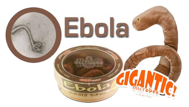 Se agotaron existencias de peluche del ébola. (Giant Microbes)