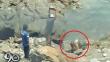 Chimbote: Ataque a pedradas contra lobo marino es investigado por la Fiscalía
