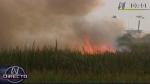 Incendio forestal en los Pantanos de Villa. (Canal N)