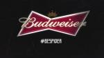 La campaña de Budweiser se llama #BeSpider. (YouTube/Budweiser Brasil)