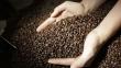 Producción de café peruano subiría 40% en el 2015