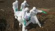 Ébola: Murciélago habría desencadenado epidemia en África, según estudio