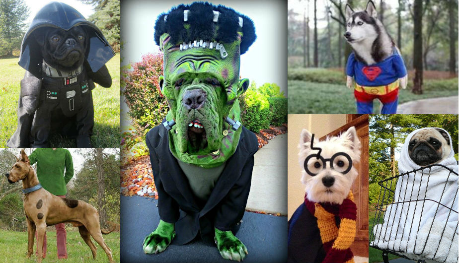 Estos canes disfrazados de personajes de películas te harán soltar más de una carcajada.(Fuente: Pinterest)