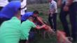 Hicieron explotar a un perro con fuegos artificiales en Honduras
