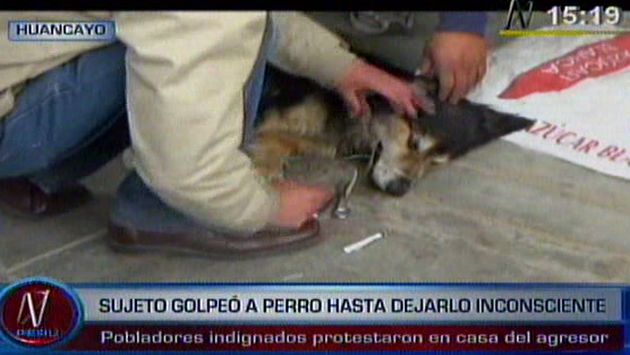 Sujeto golpeó a perro por aparearse con su can de raza en Huancayo. (Captura de TV)
