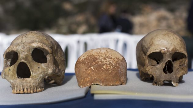 Cráneo incompleto data de hace 55,000 años. (EFE)