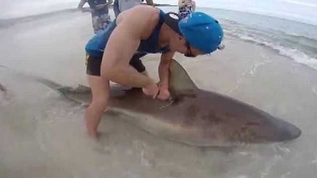 Joven pescó tiburón de 3 metros en Australia y no creerás lo que hizo después. (Captura de YouTube)
