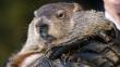 Día de la Marmota: Phil pronosticó 6 semanas más de invierno en EEUU