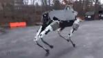 (Boston Dynamics/YouTube)