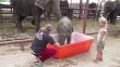 YouTube: Divertida ducha de un elefante bebé enternece las redes sociales