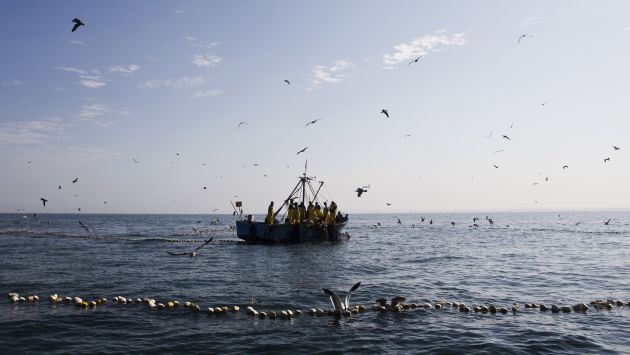 A PREVENIR. Especies como la anchoveta buscarán más profundidad por el calentamiento del mar. (USI)