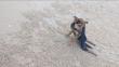 La nueva vida de Leo, el perro parapléjico rescatado de una playa de Tailandia
