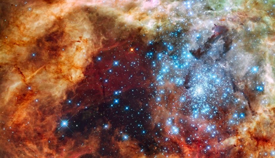 En esta imagen se puede apreciar a la joven agrupación estelar llamada R136, ubicada en la nebulosa 30 Dorudus. Se trata de un cúmulo de estrellas jóvenes gigantes con edades entre  1 o 2 millones de años. (Hubble Space)