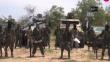 Boko Haram: Una franquicia del terror