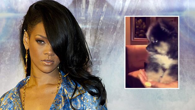 Rihanna adoptó cachorro abandonado que encontró fuera de discoteca. (USI)