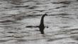 Experto cree que monstruo del lago Ness es un simple pez gigante