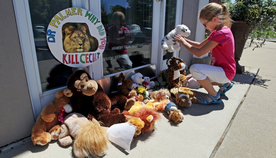 Activistas y niños dejaron peluches en clínica del asesino de león Cecil. (Reuters)