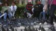 San Miguel: Multarán con S/.385 a los que alimenten palomas en vía pública