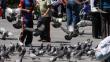 Callao: Sancionarán a vecinos de La Punta que alimenten a palomas