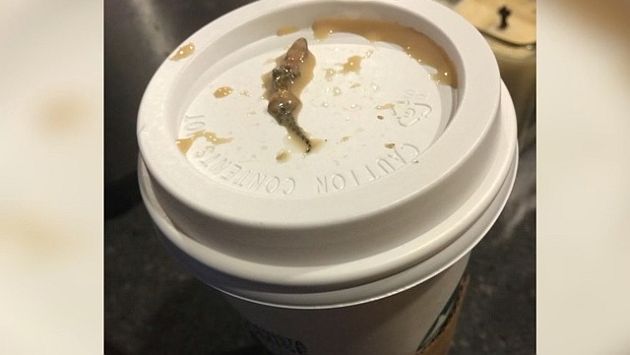 Mujer denunció que halló una lagartija en su café de Starbucks. (ABC15)