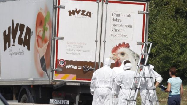 Austria: Al menos 20 cadáveres de migrantes fueron hallados en un camión frigorífico. (AFP)