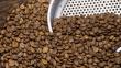 El café, uno de los cultivos alternativos en la lucha contra el narcotráfico 
