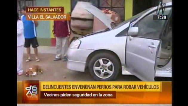 Delincuentes envenenan siete perros para poder robar autos en Villa El Salvador. (Captura de TV)