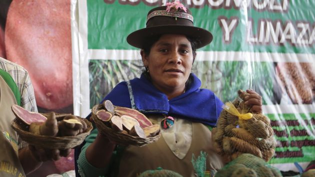 Celia, la maestra de las papas en Mistura. (Nancy Dueñas/Perú21)