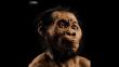 Homo naledi: Descubren a nuevo antepasado del hombre en Sudáfrica [Fotos]