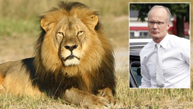 Zimbabue no enjuiciará ni pedirá la extradición del dentista que mató al león Cecil. (nbcnews.com/AP)
