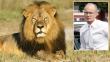 Zimbabue no enjuiciará al dentista que mató al león Cecil [Video] 