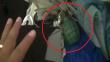 Callao: Policía capturó a 2 sicarios con granadas y armas de guerra [Video]