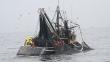 Perú y otros 26 países buscan eliminar subsidios pesqueros 