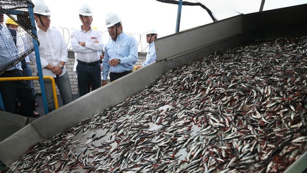 SNI: Baja competitividad afecta a pesqueras. (Andina)