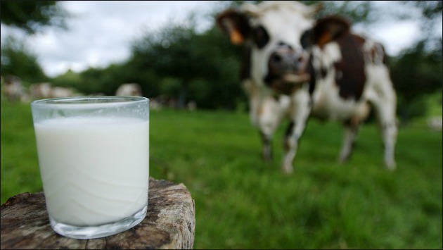Venezuela: Productores de leche de Uruguay protestarán por falta de pagos (AFP)