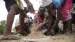 África: 14 millones de personas sufrirían hambruna por Fenómeno El Niño 