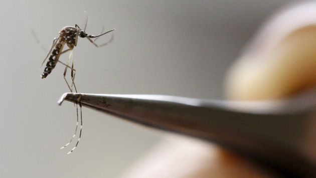 Municipio de Ancón refuerza acciones contra el virus del zika. (Reuters)