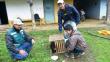 Piura: Rescatan cría de oso de anteojos que deambulaba por un caserío [Fotos]