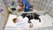 Mahe, el perro que acompaña a su dueño autista hasta en la cama de un hospital
