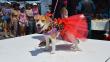 La Molina realizará este domingo un carnaval canino [Fotos]