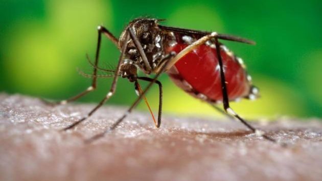 Virus del zika se transmitió por vía sexual. (Difusión)