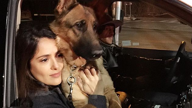 Salma Hayek sufre por la muerte de su perro que fue hallado con un disparo cerca al corazón. (Instagram)