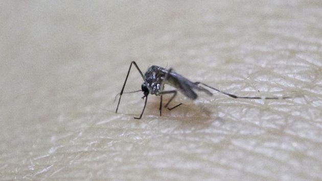 Zika: Minsa confirma cuarto caso importado en el Perú (USI)