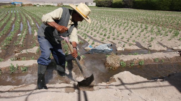 Sector agrícola en agenda. (Perú21)
